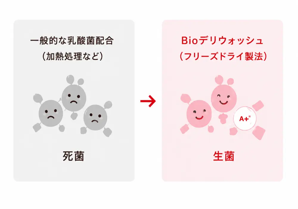 生きた乳酸菌