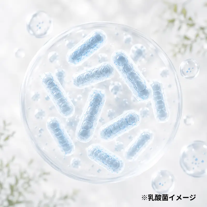 生きた乳酸菌