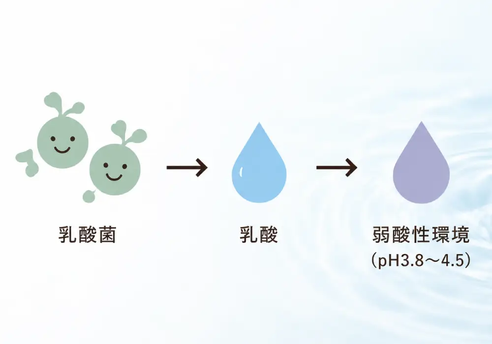 女性の自浄作用