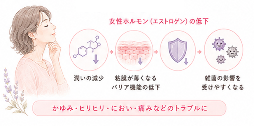 女性ホルモンの低下
